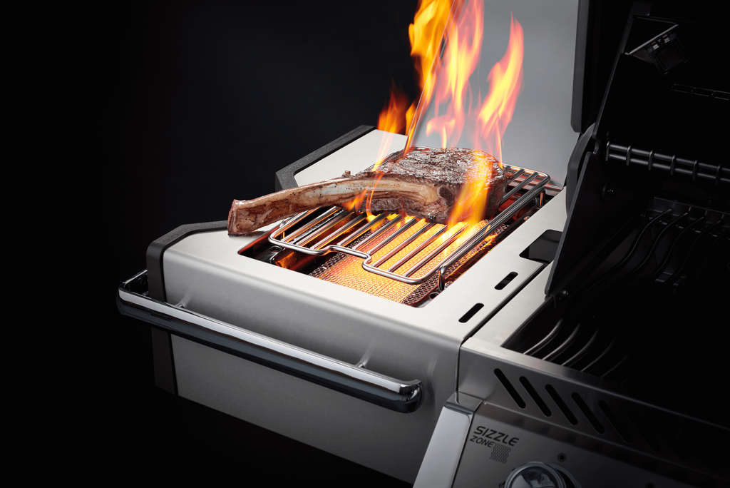 Napoleon Prestige PRO 500 RSIB Natural Gas BBQ – view 2